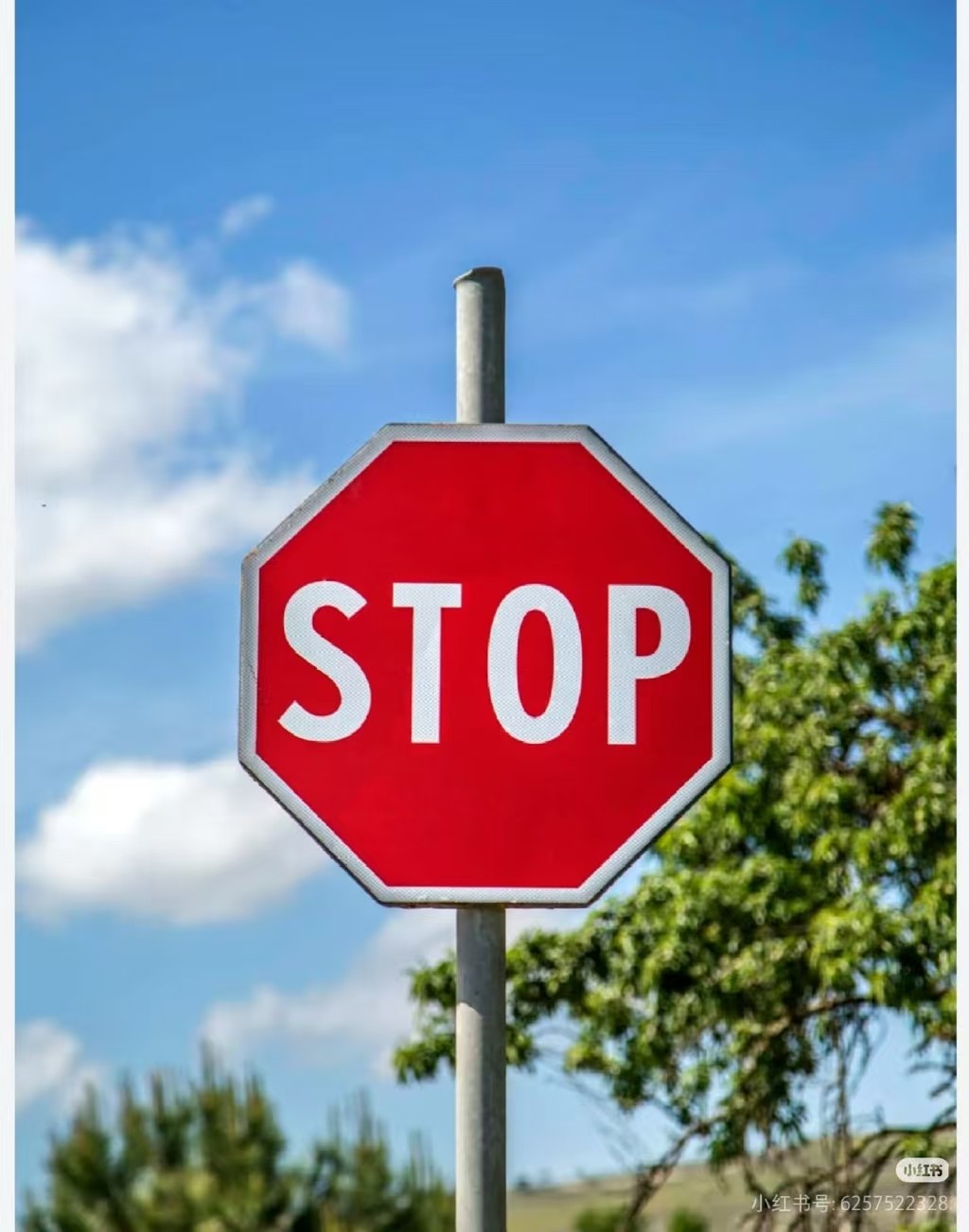 突发！万华新疆、韩国韩华TDI临时停车